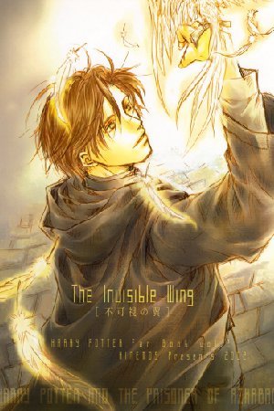 Harry Potter - The Invisible Wing (Doujinshi)
